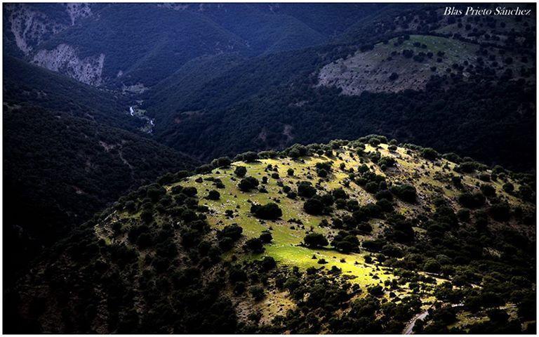 Apartamentos Turisticos Rurales Monte De Las Animas Valdepenas de Jaen Екстериор снимка