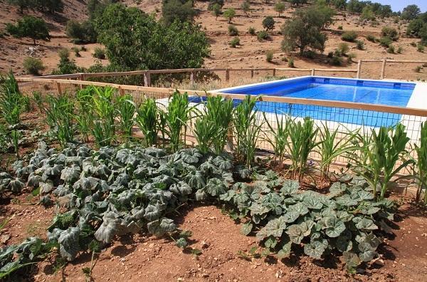 Apartamentos Turisticos Rurales Monte De Las Animas Valdepenas de Jaen Екстериор снимка
